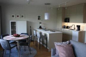 Air conditioned condo downtown with lake view